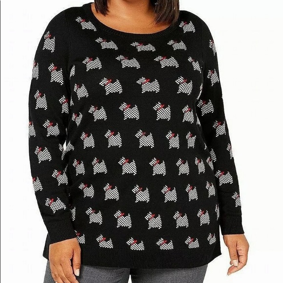 black and white sheep herding dog